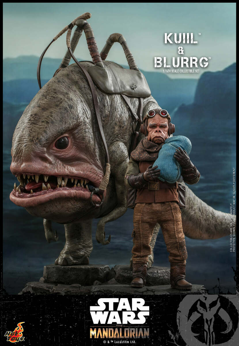 Imagen del producto 13