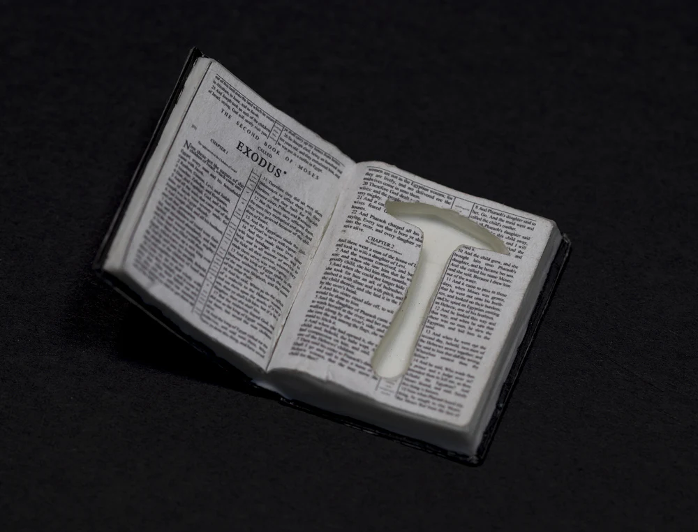 Imagen del producto 10