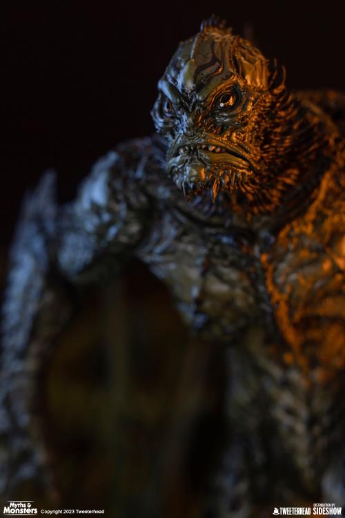 Imagen del producto 20