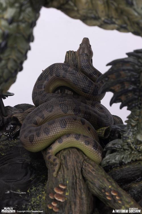 Imagen del producto 25