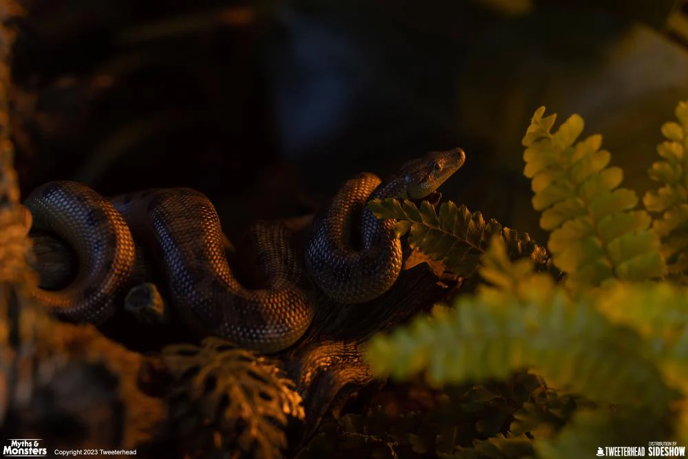 Imagen del producto 26